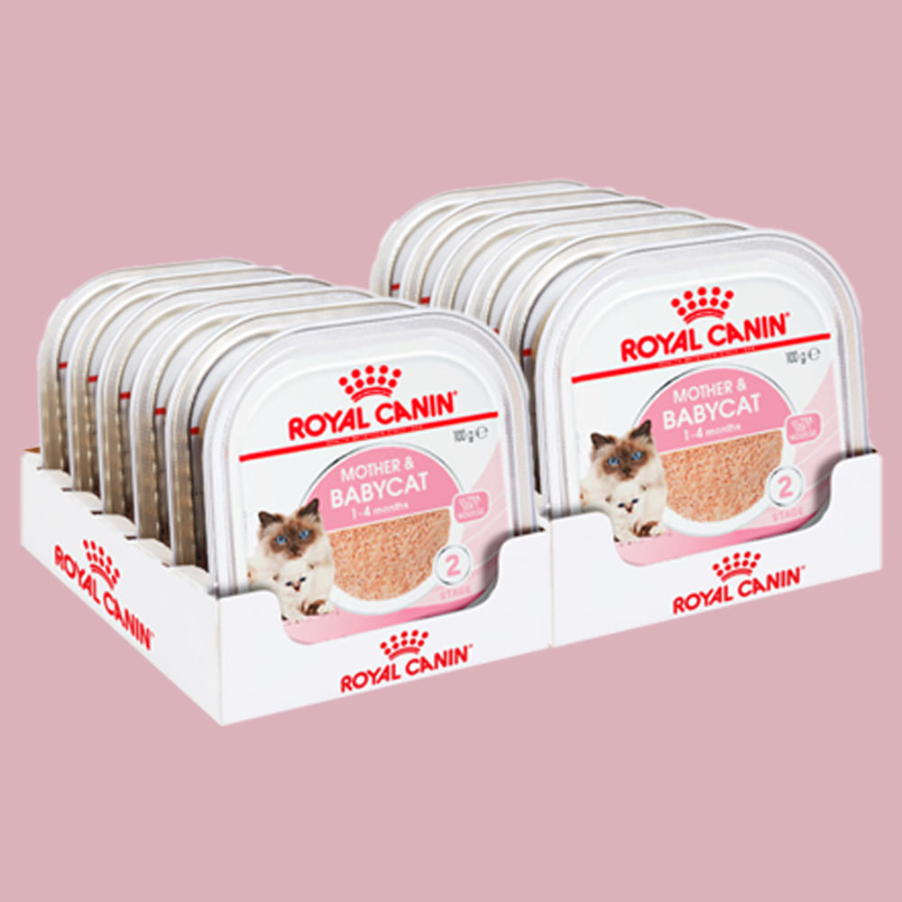로얄캐닌 아기고양이 습식사료 주식캔 마더앤베이비캣 캔 100g x 12개