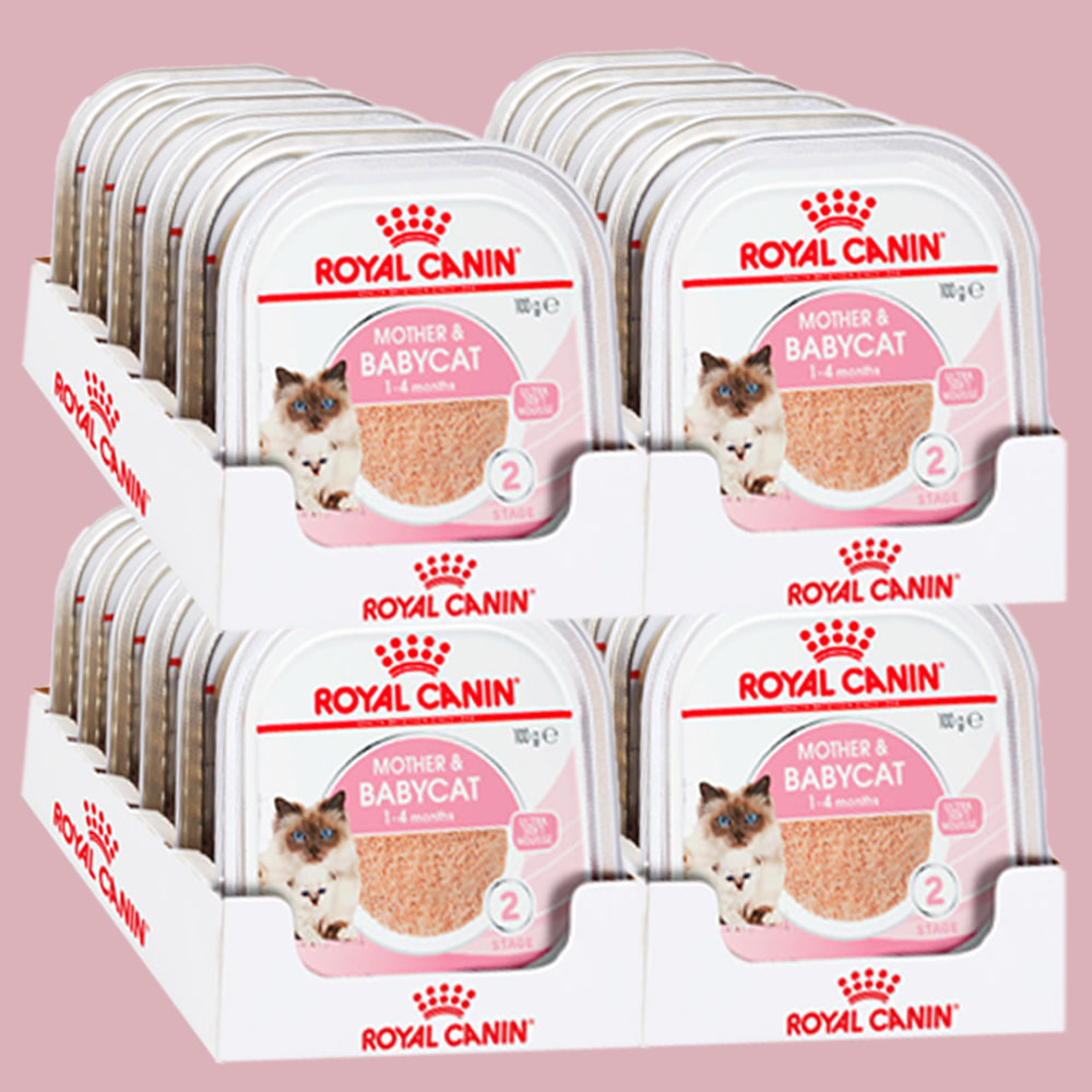 로얄캐닌 아기고양이 습식사료 주식캔 마더앤베이비캣 캔 100g x 24개